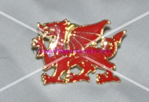 Welsh Dragon Enamel Lapel Pin - Click Image to Close